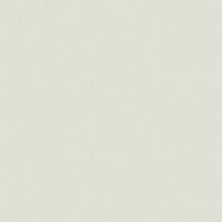 RAL 9002 RAL 9002