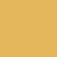 RAL 1002 RAL 1002